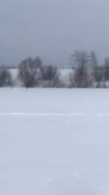 Рыбалка Муром- Ока затон 17 Января 2024…#shorts смотреть онлайн