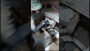 Как снять балансир Ивеко траккер