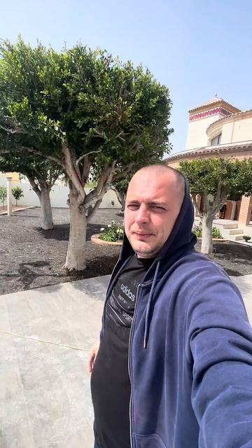 Чистка бассейна. Испания. Торревьеха. Коста Бланка. #limp смотреть онлайн