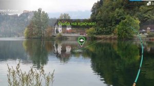 как ловить только трофеи в my fishing world!