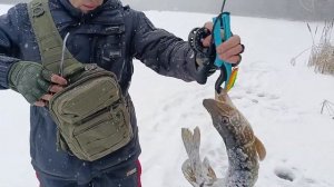 Как поймать ЩУКУ зимой НА БАЛАНСИР.