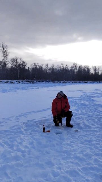 прикармливаем хариуса позитивной музыкой #хариус #зим смотреть онлайн