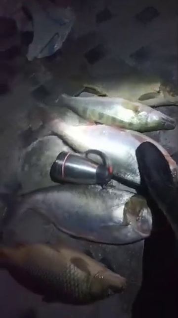 14 декабря 2024 г. смотреть онлайн