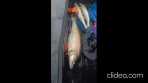 Рыбалка на Шарташе. Апрель 2025.