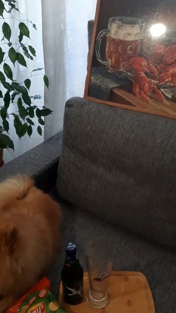 субботний вечер   