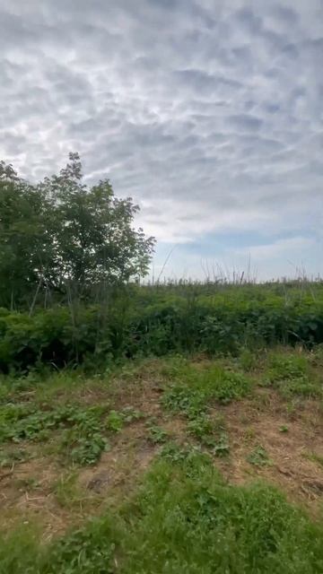 Выехали открывать сезон на Зер.Карпа-Карася с ЧРК Рыбо смотреть онлайн