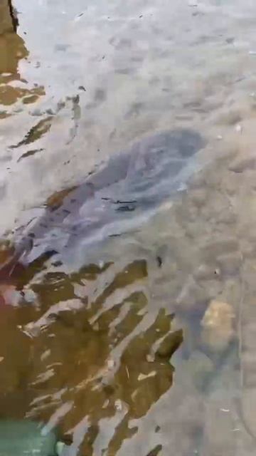 Наши туристы. Мы ценим рыбалку, активный отдых, общени? смотреть онлайн