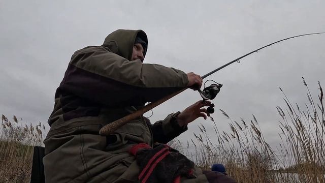 Отличная весенняя рыбалка на фидер!