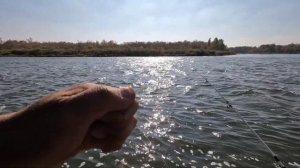 Рыбалка на реке Дон. Донки с берега.