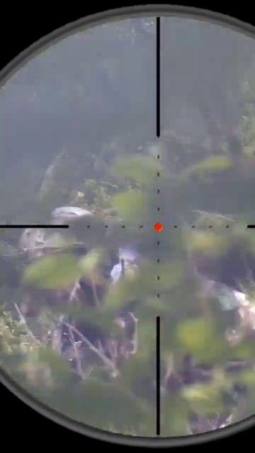 #shorts #airsoft #страйкбол Снайпер на страйкболе. Призрак. #sni