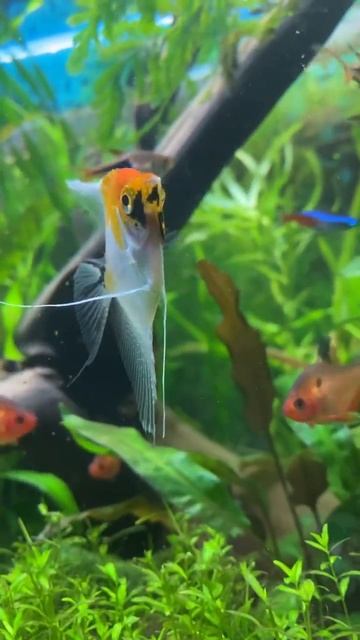 #hiking #природа #рыбалка #удочка #отдых #поплавок #раслабл смотреть онлайн