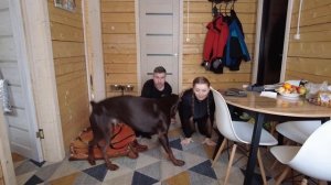 Делаем зарядку. Утренняя зарядка. Зарядка по утрам