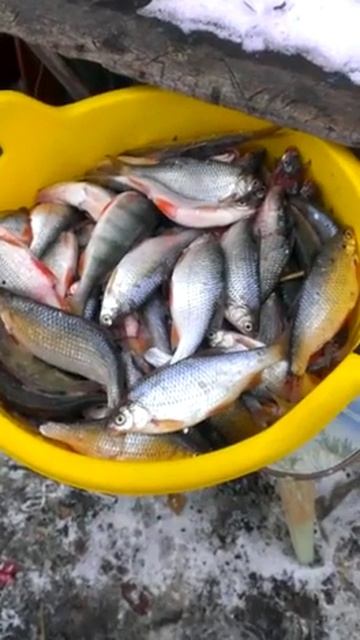 Озеро Мостовое смотреть онлайн