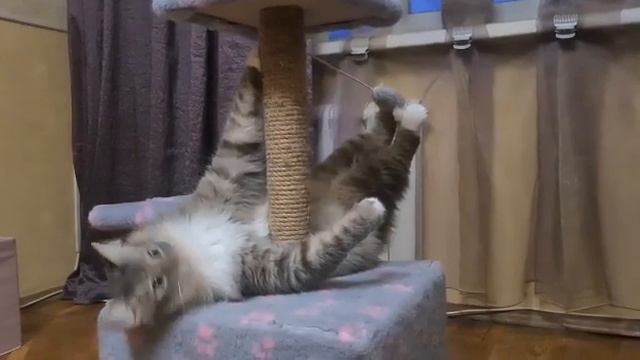 Мэнни и балет! смотреть онлайн