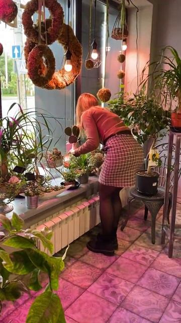 МИНИ САД #минисад #подарок #минимальногоухода #ФЛОРАРИ