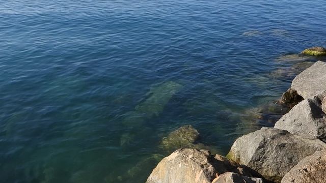 Ольгинка. Туапсе. на Черных камнях, странные рыбы море...барабулька