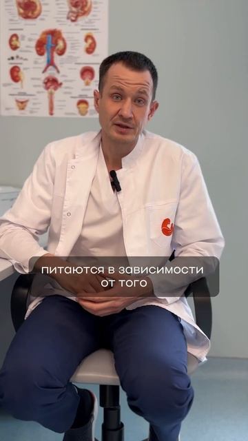 СКОЛЬКО РАЗ В ДЕНЬ НУЖНО ЕСТЬ смотреть онлайн