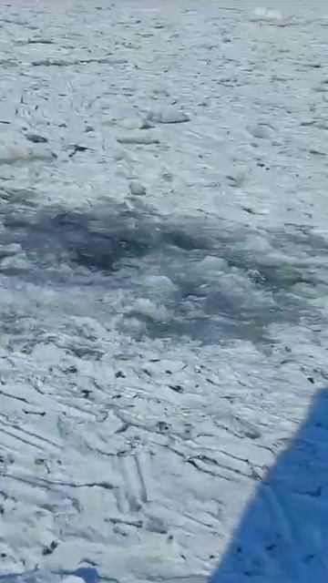 2 января 2024 г. смотреть онлайн