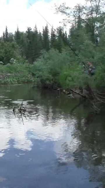 1500 Рыба плавится под ногами, а держит Удочку низко #иии смотреть онлайн