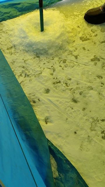 Толщина льда на Лазурном берегу .алматы капчагай рыб