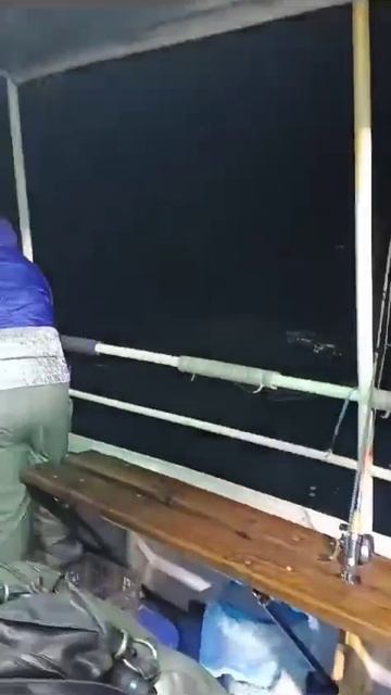 Кальмар сдувает ветром смотреть онлайн