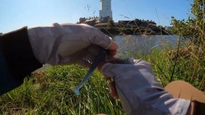 Рыбалка в Выборге. Спиннинг, джиг, и три вида рыбы. #fishing