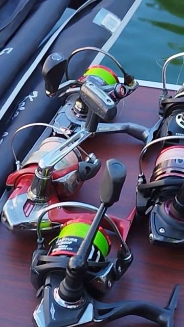 Рыбалка на ручьевую форель смотреть онлайн