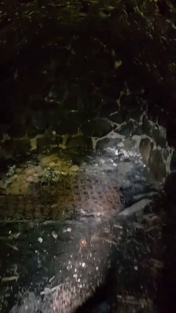 финский погреб смотреть онлайн