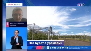 Запись прямого эфира телеканала ОТР программа ОТРажение