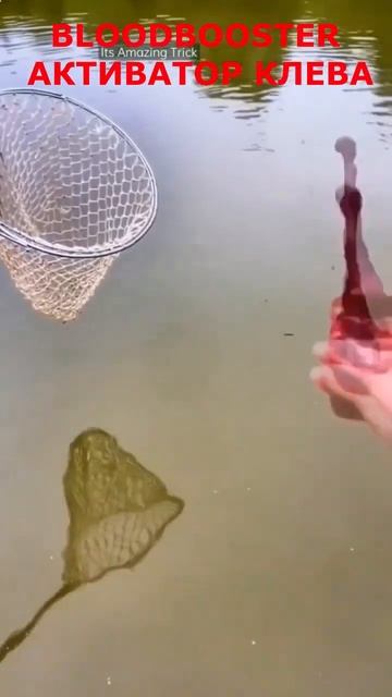Активатор клева — BloodBooster shorts смотреть онлайн