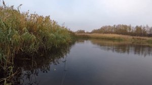 ЩУКА НА ПОППЕР В НОЯБРЕ 2024 РЫБАЛКА В РОСТОВСКОЙ ОБЛАСТ