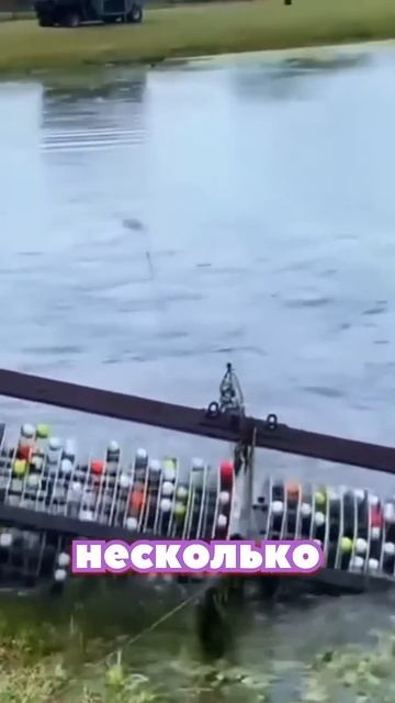 Самый Быстрый Миллионер😳💰 смотреть онлайн