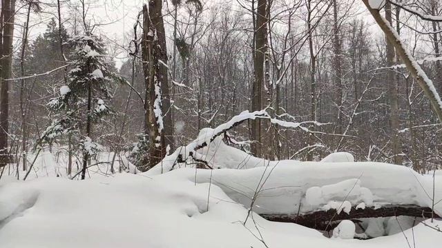 Огромный снежный покров в Москве, Теплостанская возвы смотреть онлайн