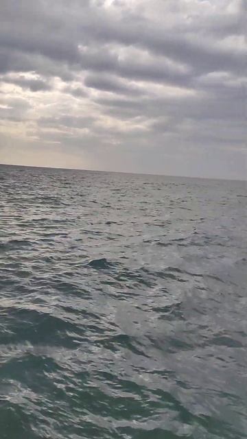 решили в Дюрсо половить саргана на пилькер.море шторм? смотреть онлайн