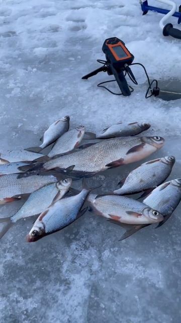 Улов в начале марта смотреть онлайн