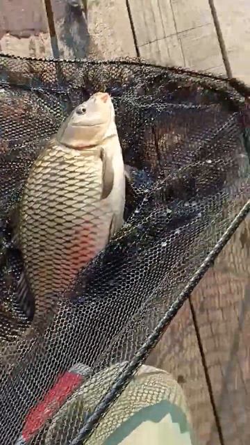 В Нижнем Новгороде смотреть онлайн