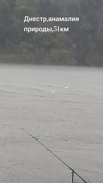 #днестр #маяки #река #рыбалка #рыбак#рек #ветер #дощ #лет? смотреть онлайн