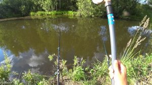 ЛОВЛЯ НА ПОПЛАВОЧНУЮ УДОЧКУ! Рыбалка на карпа с берега