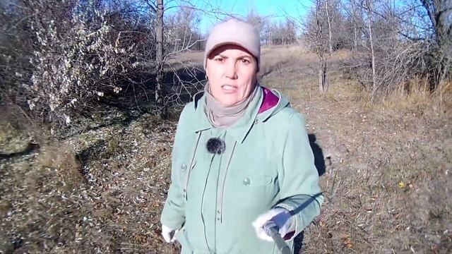 Венера: система ценностей