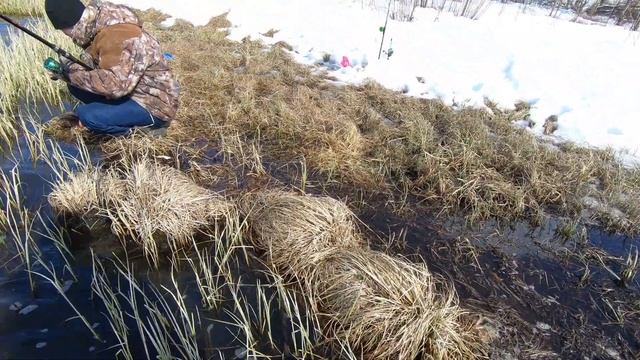 ВОТ ТАКОЕ У МЕНЯ ОТКРЫТИЕ ЛЕТНЕЙ РЫБАЛКИ, НЕ ГОРБАЧИ К? смотреть онлайн