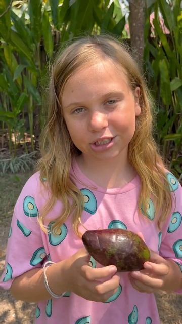 Авокадо вкусный фрукт в нашем саду на Бали 😍🥑 #бали #? смотреть онлайн