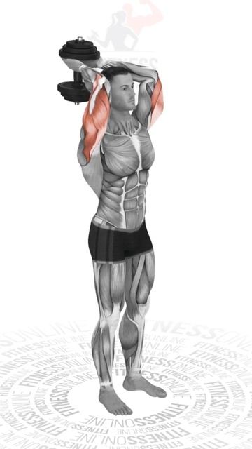 Разгибание рук с гантелью из за головы/Extension of arms with a dum смотреть онлайн