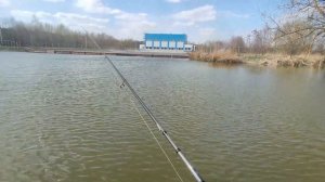 Ловля окуня весной на спиннинг на отводной поводок в в