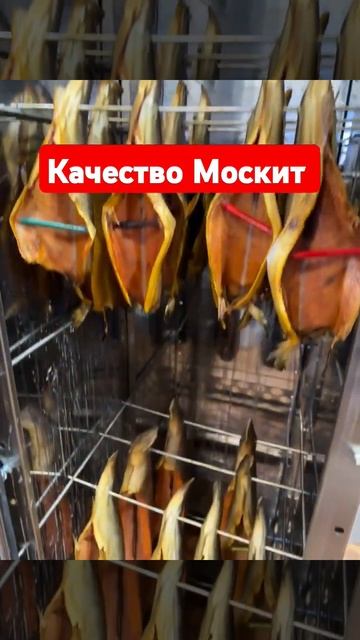 😍😍😍Скумбрия холодного копчения на Оборудовании Мо смотреть онлайн