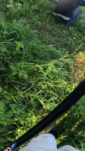 Рыбалка надикого сазана #fishing #рыбалка #казань #carpfishing #c смотреть онлайн