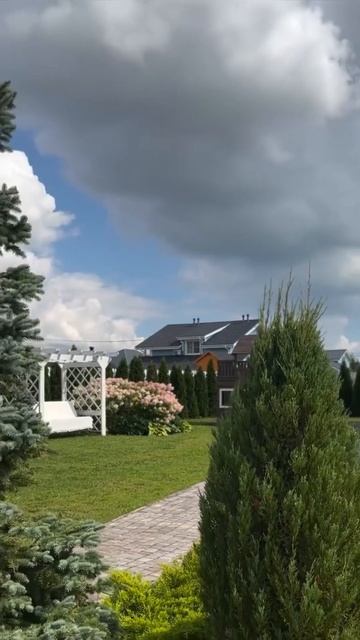 #hydrangea#гортензия#garden#гортензія#сад#flowers#park#jardin #shorts#アジ? смотреть онлайн