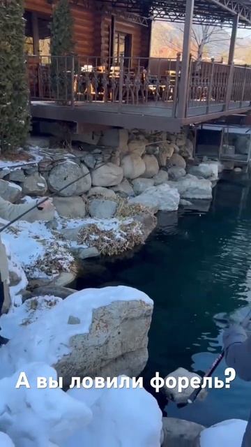 #рыбалка #отдых #форель смотреть онлайн