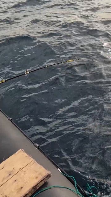 Хорошая Северная РЫБА смотреть онлайн