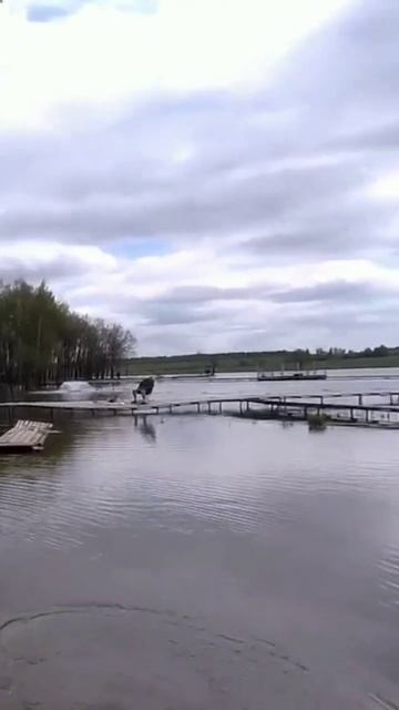ТАКОГО Я ТОЧНО НЕ ОЖИДАЛ😱СМОТРЕТЬ ДО КОНЦА‼️ смотреть онлайн