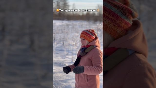 🌱Борщевик Сосновского так прекрасен и так опасен! В Л смотреть онлайн